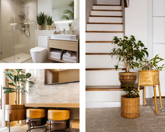 Rénovation complète — BauArt